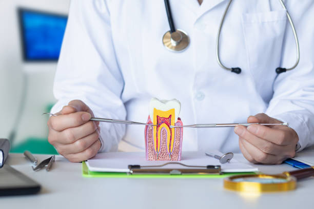 Best Emergency Dental Care for Broken or Chipped Teeth in Reisterstown, MD